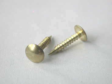 ɡͷ��������˿