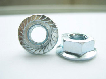 ������ĸ