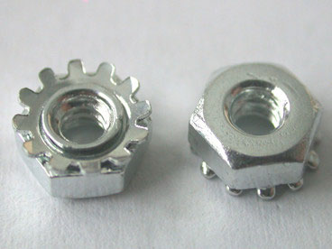 ������ĸ